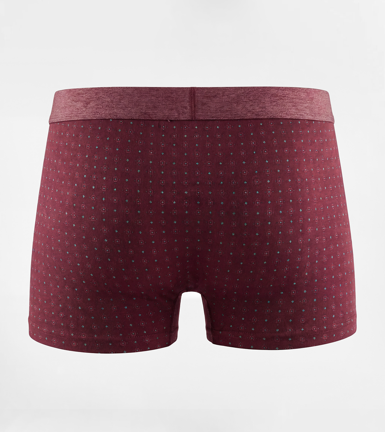 Men’s Printed Trunk Boxer
